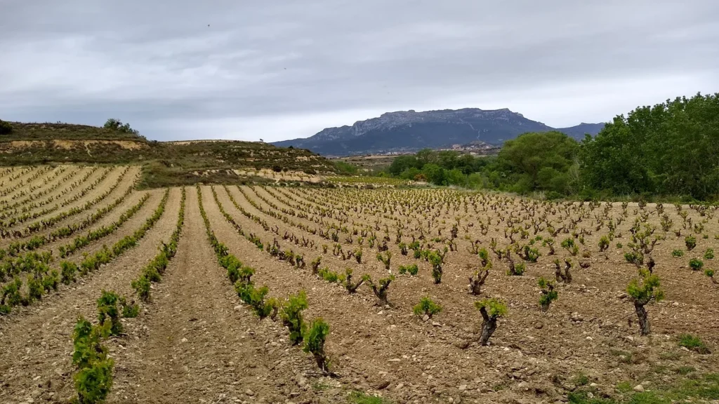 Centros de yoga en La Rioja