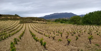 Centros de yoga en La Rioja