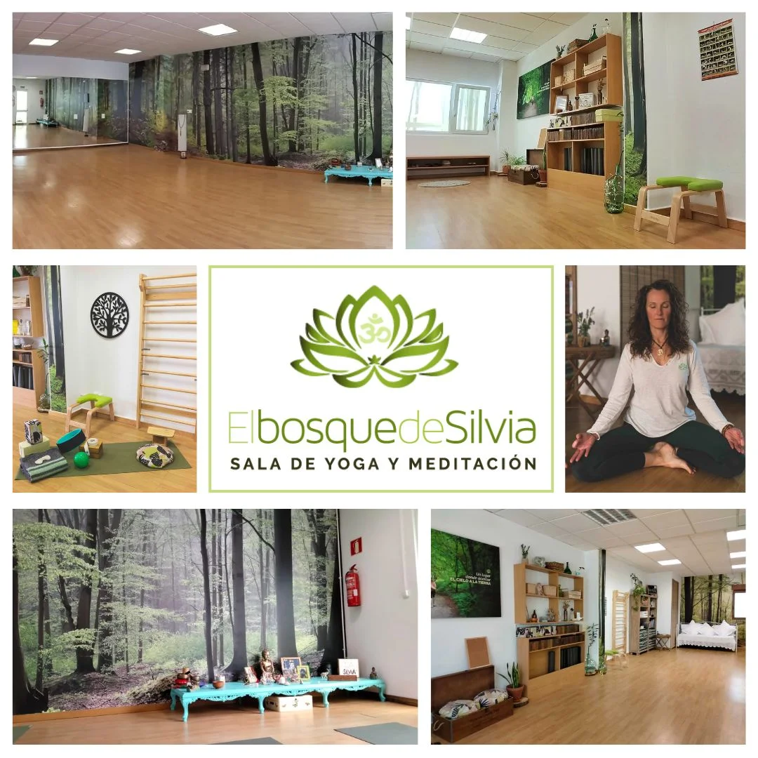 Centro de Yoga en Solares, Cantabria, "El Bosque de Silvia"