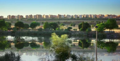 Centros de yoga en Móstoles